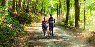 hotel georgenhof freizeit